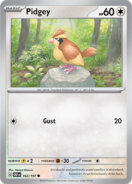 Pokémon | OBF | 162 | Pidgey