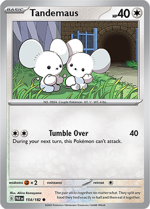 Descriptive image text