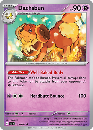 Descriptive image text