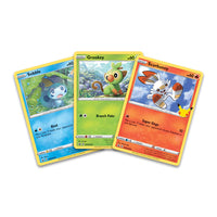 Pokémon | SWSH25 | First Partner Pack