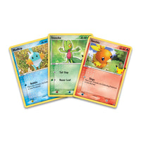 Pokémon | SWSH25 | First Partner Pack