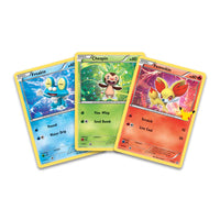 Pokémon | SWSH25 | First Partner Pack