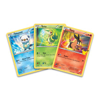 Pokémon | SWSH25 | First Partner Pack