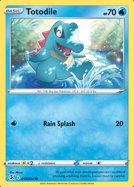 Pokémon | FST | 055 | Totodile