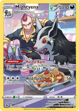 Pokémon | ASR | TG09 | Mightyena