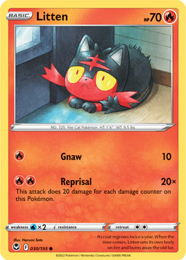 Pokémon | SIT | 030 | Litten